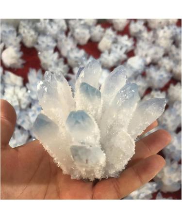Natural Crystal Rough Natural Crystal Rough Natural Blue Phantom Quartz Cluster Loose Gemstone Crystal Crafts Stone 400g-500g for Home Decoration 1PC Light Grey - Buy Online on GoSupps.com