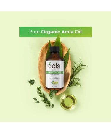 Organic Amla Oil for Hair Growth 4 oz (120 ml) - 100% Pure, Cold Pressed & Unrefined Amla Fruit Oil for Hair, Body & Face - Natural Care for Beautiful Hair - Buy Online on GoSupps.com