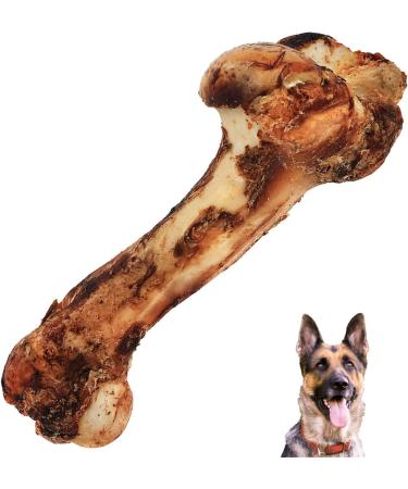 Jumbo Size Roasted Beef Shin Leg Bone Dog Treats Dog Food Dog All Natural and Healthy Dog Bone Treat Chews. Premium Grade XL Bone 1.5kg - Perfect for Medium and Large Dogs - Buy Online on GoSupps.com