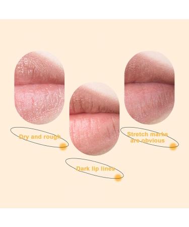 Lip Film Whitening for Dark Lips with Lip Brush | With Lip Brush Plumping Lip Gloss Girls Lips Lip Care Products Enriched with - Buy Online on GoSupps.com