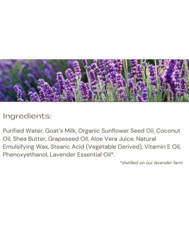 LAVENDER LANE Lavender Goat's Milk Hand & Body Lotion 9 oz - USA Lavender Farm Free Sachet Included Organic Shea Butter Organic Sunflower Oil. - Buy Online on GoSupps.com