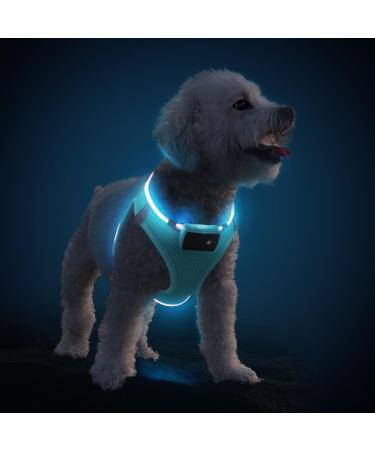 PCEOTLLAR Dog harness bright light dish LED charging & reflective illuminated light dishes for puppy small medium dog breathable light dishes blue-l l blue