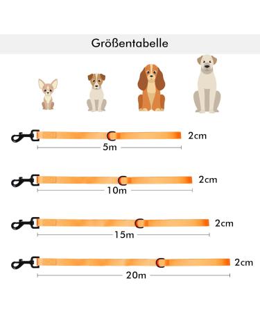 Tag Trag 20m Orange Dog Leash - Waterproof Easy to Clean Training Line for Small to Medium Dogs - Durable Handle & D-Ring - Buy Online on GoSupps.com