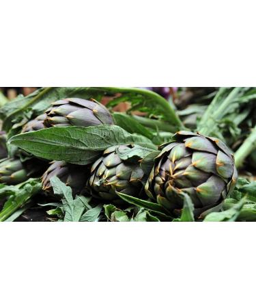  Taud Artichokes in the country style preserved in oil - Taud Sicilian artisanal glass preserves 510g - Buy Online on GoSupps.com