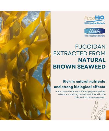 Oligo Fucoidan Capsules ONCOFUCO Doctor Recommend Extra Strength Immune and Adjunct Support Supplement Seaweed Extract High Purity Vegetarian Halal Certified 1 Pack 60 Veggie Capsules 1-pack - Buy Online on GoSupps.com
