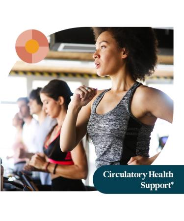 Pattern Wellness Berberine Supplement with Organic Ceylon Cinnamon Supports Metabolic Balance & Circulatory Wellness Non-GMO, Vegan 60 Capsules 60 Count (Pack of 1) - Buy Online on GoSupps.com