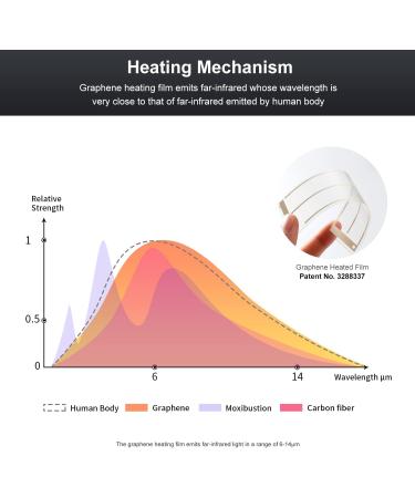 Graphene Times Heating Pillows & Fern Infrared Belts - Adjustable Pain Relief for Back & Waist - Buy Online on GoSupps.com