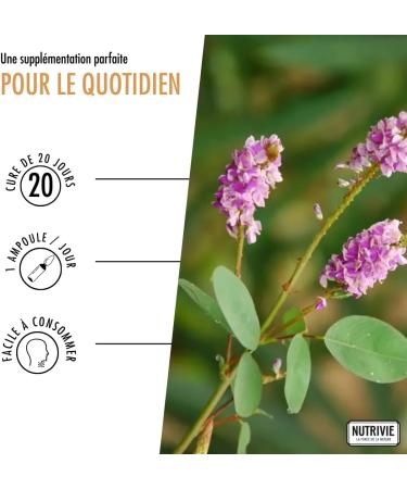 Desmodium Bulbs Vegan NUTRIVIE Made in France - Buy Online on GoSupps.com