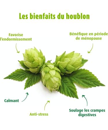 A. Vogel Sleep Food Supplement with Fresh Plant Extract 50 ml - Buy Online on GoSupps.com