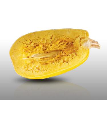 10 Seeds - SPAGHETTI Squash Vegetal - Cucurbita pepo - Buy Online on GoSupps.com