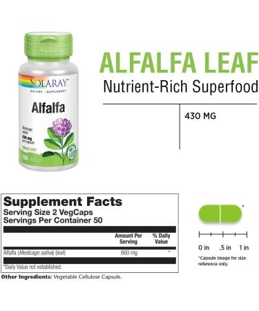 Solaray Alfalfa Leaf 860mg - Vitamin-Rich Superfood for Healthy Blood, Kidneys & Digestion - Non-GMO & Vegan - 100 VegCaps - Buy Online on GoSupps.com