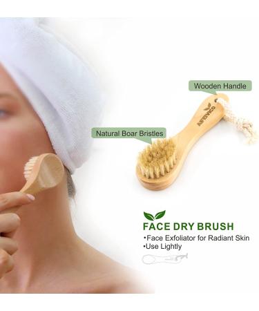 Dry Brushing Body Brush Set of 5  Natural Bristle Body Brush with Detachable Long Handle  Face Brush  Pumice Stone for Feet  Back Scrubber  Cellulite Massager Brush for Cellulite  Lymphatic Drainage wood-1 - Buy Online on GoSupps.com
