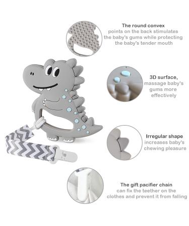 BPA-Free Baby Silicone Teether Dinosaur Pacifiers for Babies 0-12 Months - Teething Relief Toy Gift Set in Grey - Buy Online on GoSupps.com