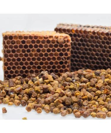 Zayti Moroccan Bee Bread 70 g no residues or additives fermented flower pollen Your Natural Elixir (70) - Buy Online on GoSupps.com