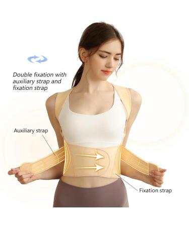 Adjustable Straightener Upper Spine Support Back Brace Posture Corrector 2 XL - Buy Online on GoSupps.com