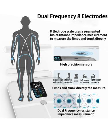 VITSOL Electrode Smart Body Fat Scale - White - Buy Online on GoSupps.com