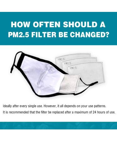 50 PCS PM 2.5 Activated Carbon Filters - Replaceable Filter Inserts - Buy Online on GoSupps.com