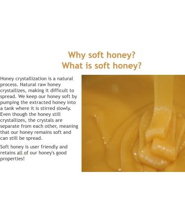 Nordmel Honey Sachets Box of 60-8g Per Sachet - Pure Natural Soft Honey -Unpasteurised Unfiltered Crystallized Natural Honey - Buy Online on GoSupps.com