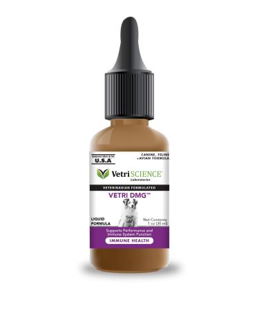 VetriScience Laboratories - Vetri DMG Liquid, Immune Support for Cats and Dogs, 30 Servings