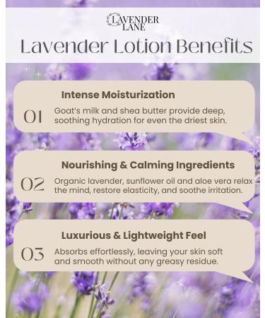 LAVENDER LANE Lavender Goat's Milk Hand & Body Lotion 9 oz - USA Lavender Farm Free Sachet Included Organic Shea Butter Organic Sunflower Oil. - Buy Online on GoSupps.com