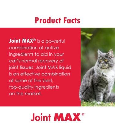Joint MAX Liquid for Cats - Maximum Joint Health Supplement - 8 fl oz - Buy Online on GoSupps.com