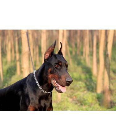 SGODA 22 inch 3.0mm Chain Dog Training Choke Collar - Buy Online on GoSupps.com