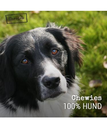 Chewies Coffee Wood Caustab for Dogs - 100% Natural Chewing Bones & Durable Dog Toys - Size S (Up to 12 kg) - Eco-Friendly Accessories - Buy Online on GoSupps.com