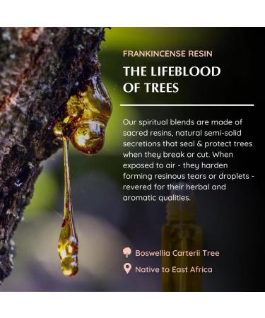 Frankincense Resin Essential Oil Roll-On Blend by Aromafume | 1 x 10ml / 1 x 0.33 Fl Oz | Made with Boswelia Caterii & Boswelia Serrata | for Meditation Spiritual Awakening Prayer and Wellness - Buy Online on GoSupps.com