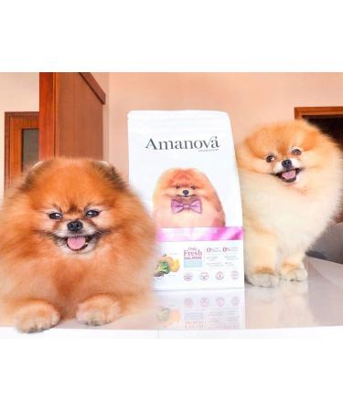 Amanova Super Premium Dry Dog Food for Small Breed Dogs with Sensitive Skin and Hair with Salmon Flavor - 100% Natural Hypoallergenic and Monoprotein - Grain Free - Cruelty Free (2 Kg) - Buy Online on GoSupps.com