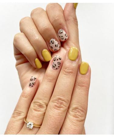 Lola Lee Gel Polish | Rule The World | GP099 | 15ml |Long-Lasting | Chip Proof | Soak-Off | Nail Art | Manicure & Pedicure | Easy to Apply |Salon and Home Use | LED UV Lamp - Buy Online on GoSupps.com