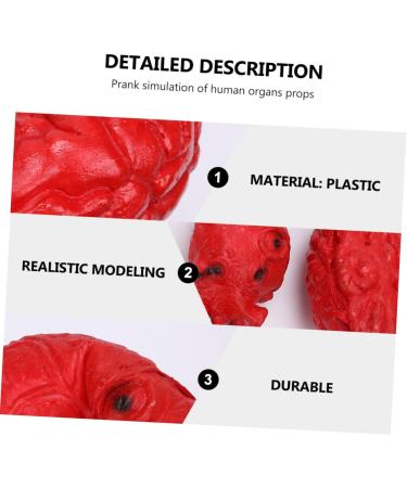 ABOOFAN 2 Pcs Simulated Organ Lunch Box Body Organs Props Fake Body Parts Cosplay Body Parts Halloween Realistic Heart Halloween Body Parts Halloween Decor Plastic Artificial Bloody - Buy Online on GoSupps.com