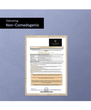 De construct Oil-Free Moisturizer with NMF Complex 72 Hours Hydration Non-Comedogenic for Oily to Combination Skin 50g - Buy Online on GoSupps.com
