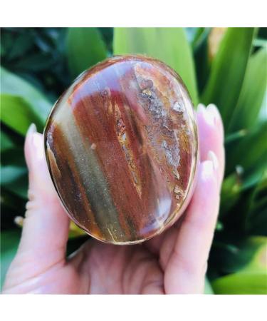 Natural Crystal Rough Natural Wood Polished Quartz SpecimenHome DecorationStones (Size : 350-400g) (Size : 450-500g) - Buy Online on GoSupps.com