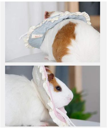 Dreamls Hamster Rabbit Protection Elizabethan Collar Circle Mini Collar Small Pet Recovery Collar for Guinea-Pigs Hedgehog (S Blue) S Blue - Buy Online on GoSupps.com
