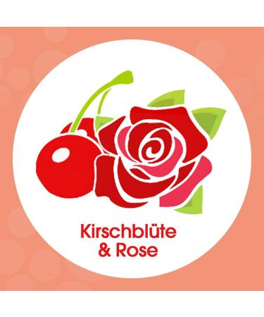 Sagrotan Velvet Foam Soap Cherry Blossom & Rose - 250ml Soap Dispenser | Luxurious Foam Soap for Home & Travel - Buy Online on GoSupps.com