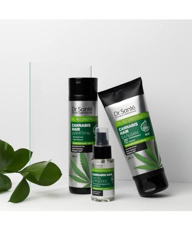Dr. Sant Cannabis Hair Hair Oil 50 ml - Buy Online on GoSupps.com