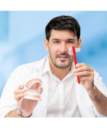 Buy Healvian 4-Piece Double-Headed Toothbrush Set | Best Prosthesis & Retainer Cleaning Brushes - Hard Bristles for Effective Dental Care - Buy Online on GoSupps.com