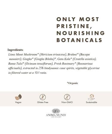 Anima Mundi Apothecary Cerebrum Brain Tonic - Cognitive Support Supplement - Liquid Drops with Lion's Mane and Ginkgo - Brain Booster Liquid Supplement for Memory Support (2oz / 60ml) - Buy Online on GoSupps.com