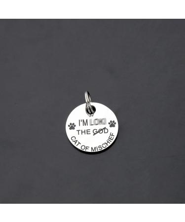 ENSIANTH Pet Collar Tags Cat of Mischief Gift Cat ID Tags Cat Owner Gift Pet ID Tags Cat Lady Gift (Cat of Mischief) - Buy Online on GoSupps.com