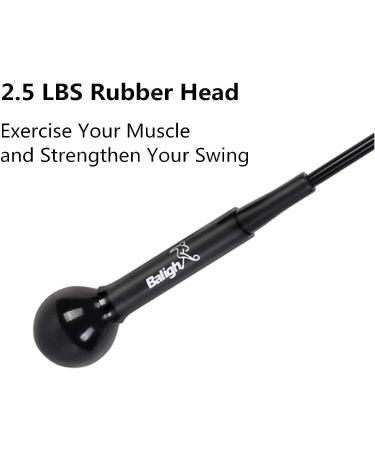 Greatlizard Golf Swing Training Aid - Improve Strength, Flexibility, and Tempo - Golf Practice Stick for Men and Women, Black 48 - Buy Online on GoSupps.com