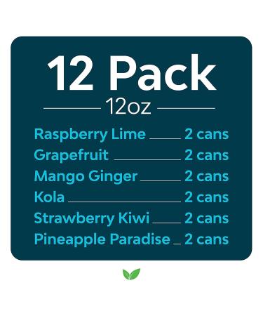 Zevia Zero Calorie Energy Drink Variety Pack 12 oz (Pack of 12) - 6 Flavors Essential Selection - Buy Online on GoSupps.com