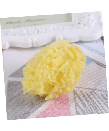 minkissy 1pc Sponge for Bathing Bath Sponge Body Sponge Greek Natural Seaweed Sponge Sea Sponge for Bathing Aldult Bath Ball Bath Wipe Natural Sponge Seaweed Sponge - Buy Online on GoSupps.com