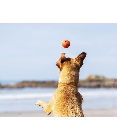ChuckIt! Fetch Rubber Dog Ball Medley Strato Erratic Ultra Squeaker Balls for Dogs Durable High Bounce Launcher Compatible Dog Toy Gen 2 - 3 Pack Medium Multi Medium - Buy Online on GoSupps.com