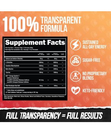 ALPHA LION Core Pre Workout Powder with Creatine for Performance Beta Alanine for Muscle L-Citrulline for Pump & Tri-Source Caffeine for 30 Servings - Fruit Punch - Buy Online on GoSupps.com