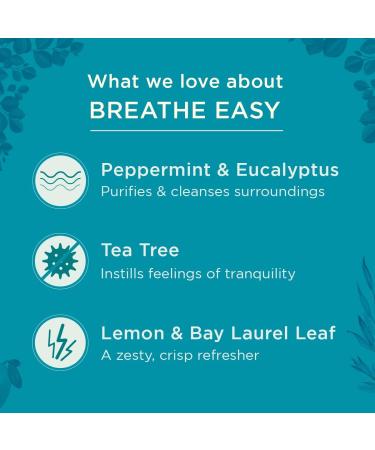 Gya Labs Breathe Easy Essential Oil Roll-On 10ml - Clarifying & Soothing Formula - Buy Online on GoSupps.com