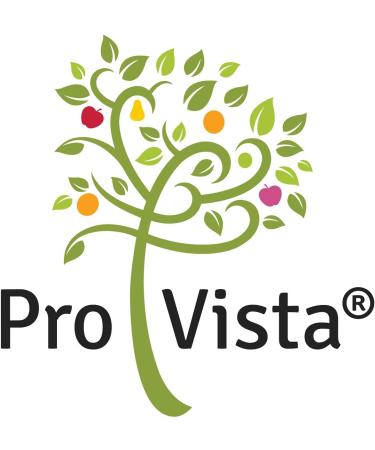 Provista Lecithin Powder - Pure GMO-Free Lecithin Granules - 2x250g - Best for Health & Cooking - Buy Online on GoSupps.com