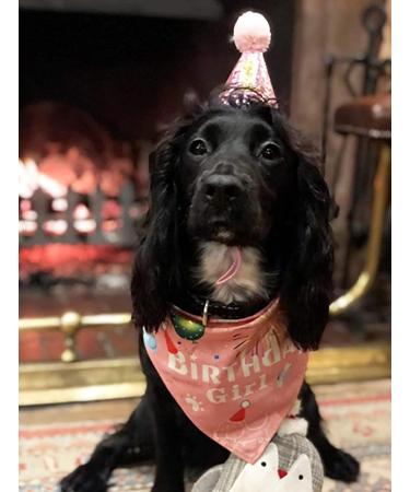 BIPY Dog 1st Birthday Hat Bandanas Set for Girls Small Medium Pets Pink Headdress Costumes Grooming Supplies for Party Celebration Decoration PINK-HatBandana - Buy Online on GoSupps.com