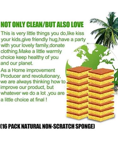 Petersty 16 Pack Biodegradable and Compostable Sponges Scouring Pad Palm Fiber -Friendly Sponge for Kitchen Dishes Cleaning - Buy Online on GoSupps.com