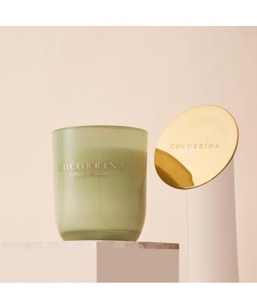 Cocorr na Citrus Iron Herb Candle - 180g Natural Soy Fragrance | 22-Hour Burn Time | Perfect Christmas Gift - Buy Online on GoSupps.com