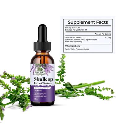 Amazing Botanicals Skullcap 10X Extract Tincture 30,000 mg - 30ml/1oz - High Potency Herbal Liquid Supplement for Relaxation and Wellness - Buy Online on GoSupps.com